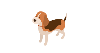 Tiendas de Mascotas Para lo que quieres 6%