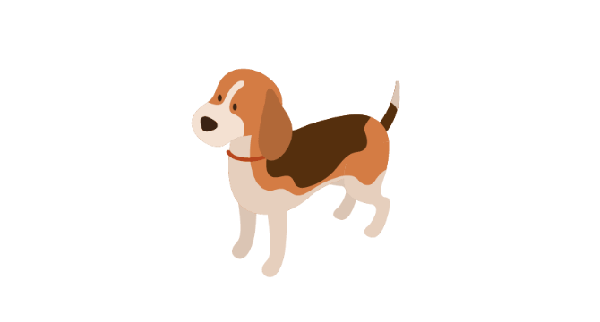 Tiendas de Mascotas Para lo que quieres 6%