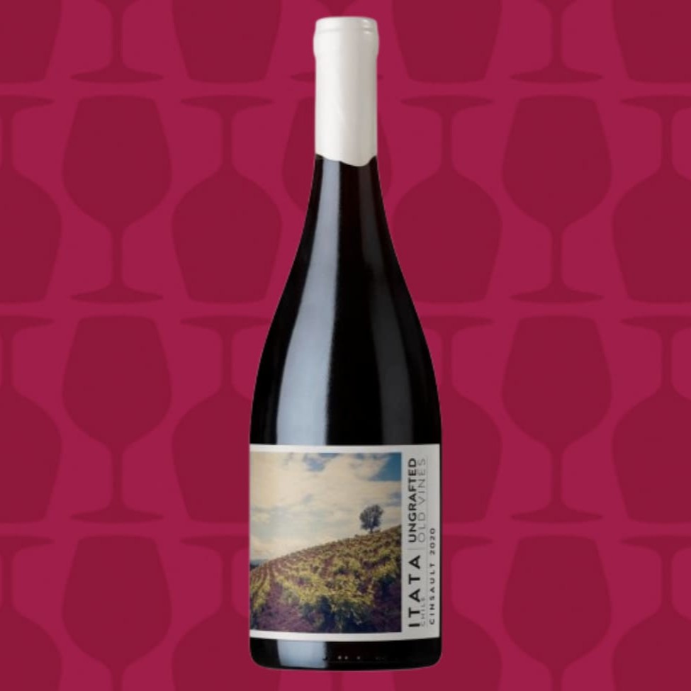 Premiado com 94 pontos e eleito entre os melhores Cinsaults do Chile no Descorchados 2024, o Cinsault da linha Ungrafted é uma verdadeira joia do Vale do Itata. Com notas vibrantes de frutas vermelhas e cerejas frescas, taninos suaves e uma acidez equilibrada, ele reflete a autenticidade e frescor do terroir chileno. Cultivado diretamente no solo Original, sem enxertia, este vinho captura a mineralidade e o caráter único da região, ideal para quem valoriza tradição e natureza. Perfeito para momentos especiais, o Ungrafted Cinsault traz o Chile à sua taça