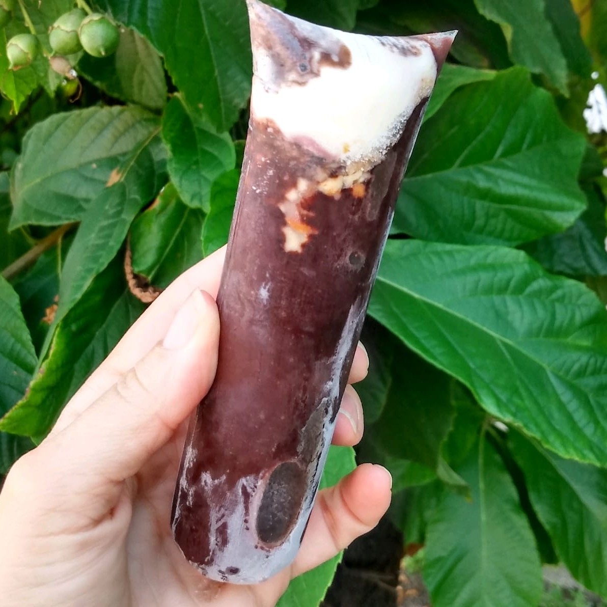 A inovação do açaí no copo agora em forma de sacolé, nosso sacolé é produzido com açaí batido com banana e recheado com leite em pó, calda de leite condensado e amendoim