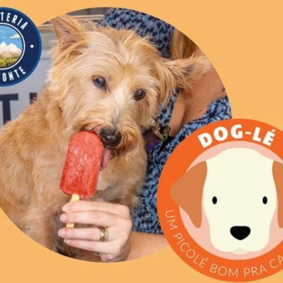 O Picolé feito especialmente para o seu doguinho com fruta de verdade (70%) e água. Sem aditivo, açúcar, conservantes, corantes.