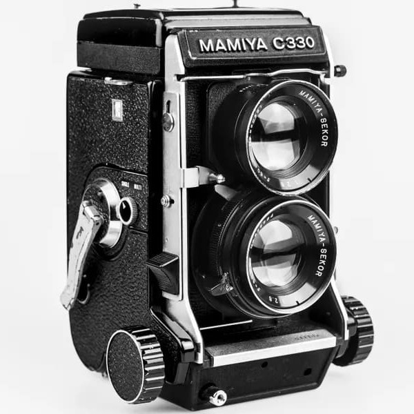 Todas as nossas fotos são reais e tiradas por a gente mesmo, sem imagens da internet ou inteligência artificial!