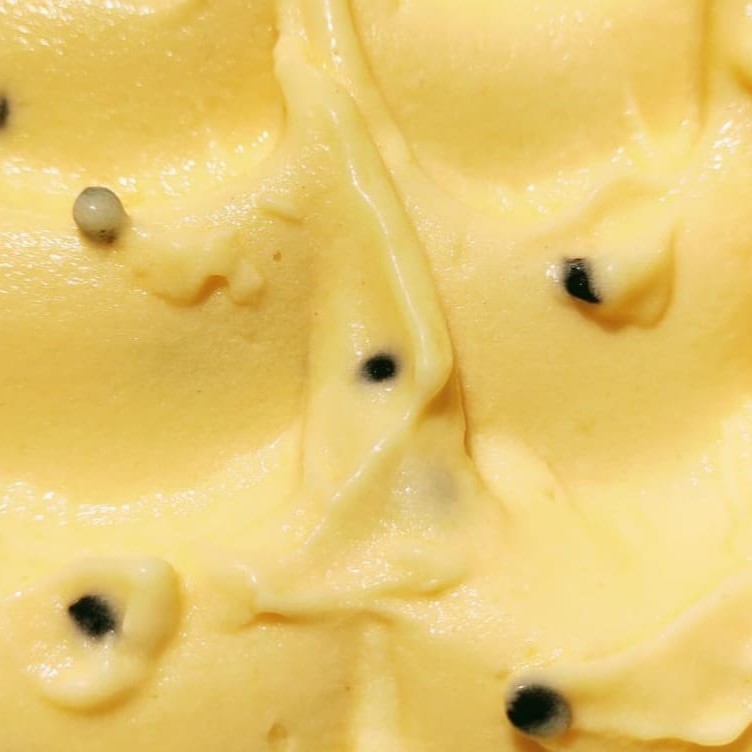 Sorvete artesanal da fruta maracujá. Feito especialmente para você que tem intolerância a lactose mas ama sorvete!