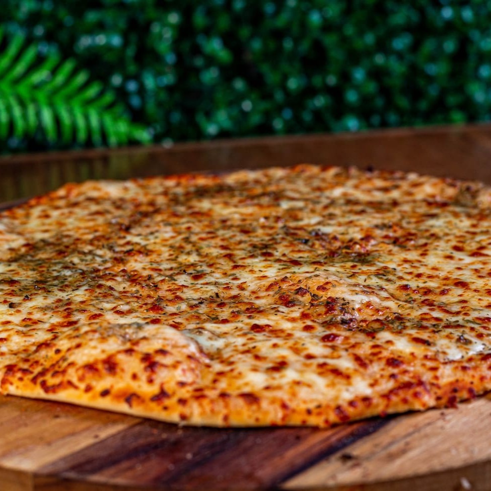 Uma deliciosa pizza com mussarela derretida e orégano para a familia toda !