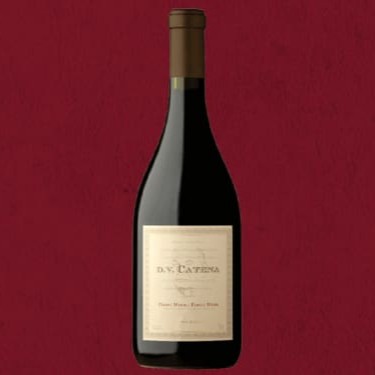 Região: Mendoza   Uva: 100% Pinot Noir  Produtor: Catena Zapata  A mais recente novidade da prestigiada linha Dv Catena, o delicioso Pinot-Pinot é elaborado com uvas Pinot Noir colhidas no vinhedo Domingo, com altitude de 1.100m e uvas do vinhedo Adrianna em Gualtallary, localizado a 1.500 metros de altitude. A parcela do vinhedo Domingo garante aromas de especiarias com taninos sedosos e abundantes, enquanto o vinhedo Adrianna contribui para sedutoras notas florais e de frutos do bosque. É um Pinot delicioso, que combina cativantes aromas típicos desta uva, com elegantes notas das barricas de carvalho. Mais um Dv Catena imperdível.