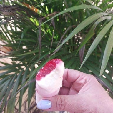 O Sacolé Delícia de Morango é uma versão gourmet do tradicional sacolé, combinando o frescor dos morangos com uma textura cremosa e irresistível. Feito com ingredientes frescos e de qualidade, ele oferece uma explosão de sabor frutado e doce que agrada a todos os paladares.