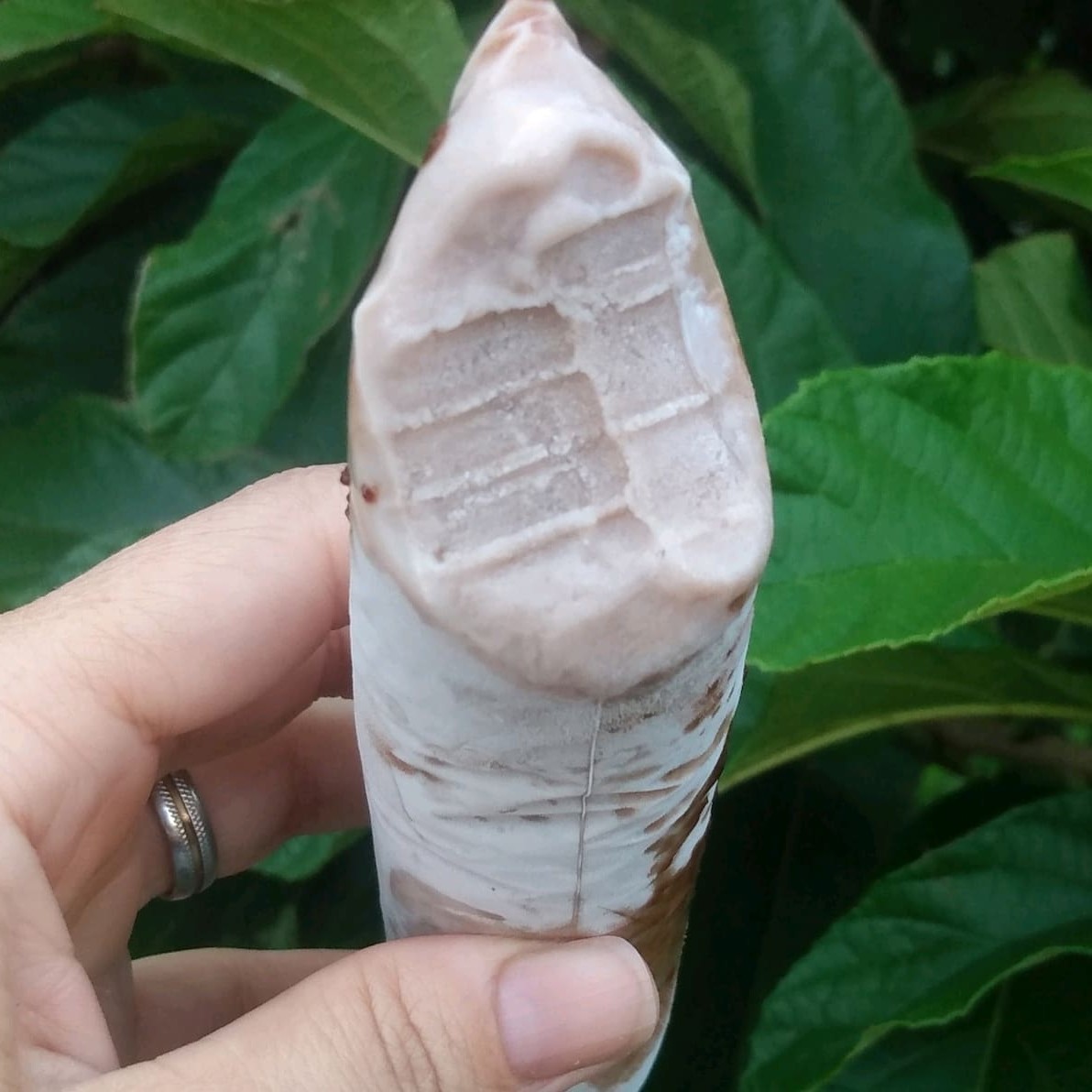 Esse sacolé é o verdadeiro milkshake de Ovomaltine dentro do saquinho