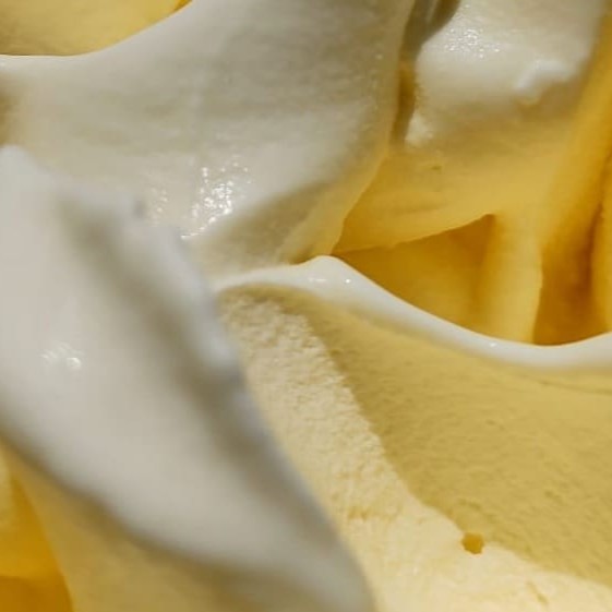 Maravilhoso sorvete artesanal sabor baunilha livre de gordura trans. Sem adição de açúcar