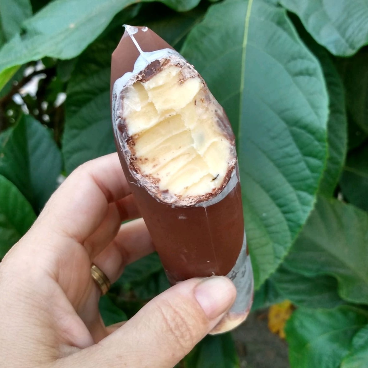 Experimente essa delicia! Com uma base cremosa de mousse de maracujá por dentro e casquinha crocante de chocolate por fora