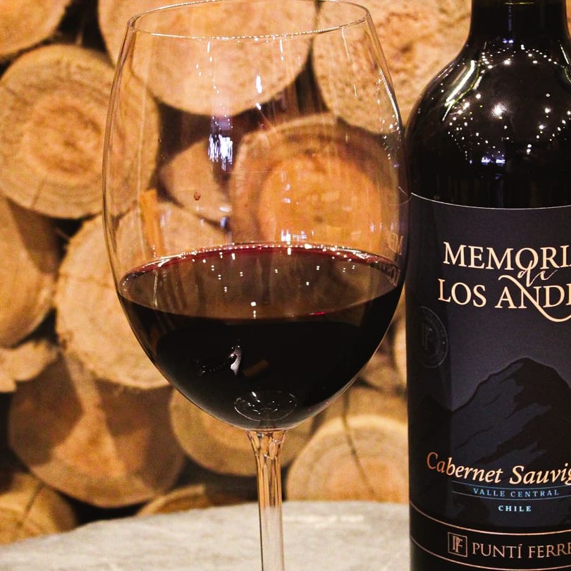 Vinho Tinto Chileno - Memoria de los andes Cabernet Varietal