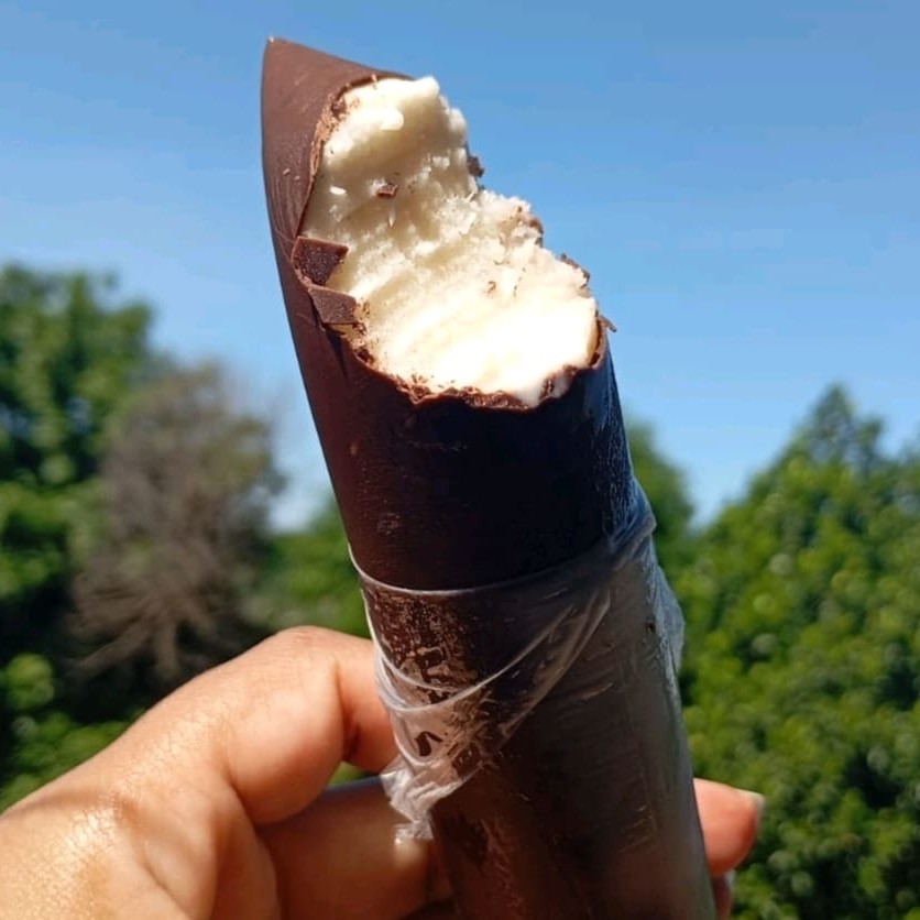 Sacolé de prestígio realmente lembra o bombo com uma base cremosa de leite condensado e leite com o coco da fruta e uma casquinha crocante de chocolate