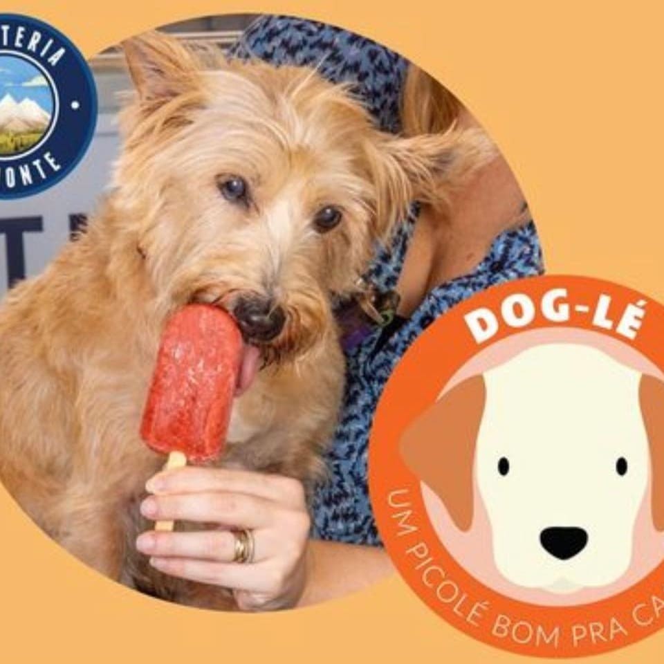 O Picolé feito especialmente para o seu doguinho com fruta de verdade (70%) e água. Sem aditivo, açúcar, conservantes, corantes.