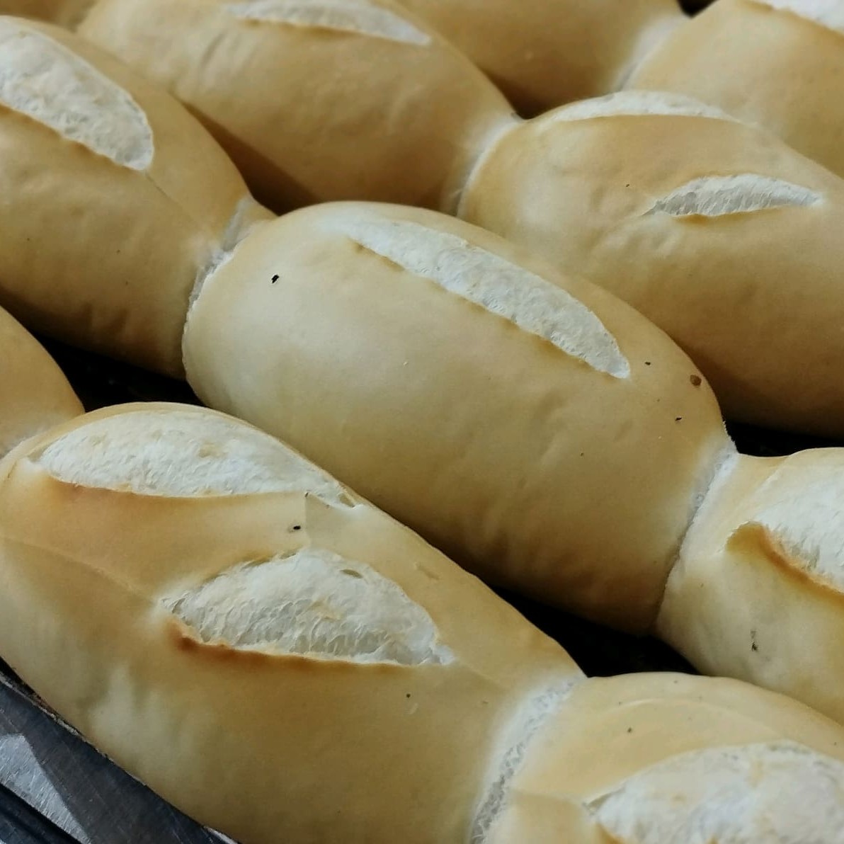 10 Paes de sal(francês) + 6 mini joelhinhos de presunto e queijo + manteiga qualy de 250 gramas. Leve grátis uma rosca!