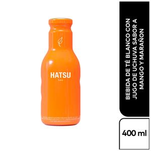 MR TE LIMONADA MANGO*310ML