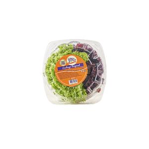LECHUGA TROPICAL CAJITA