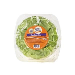 LECHUGA LISA CAJITA