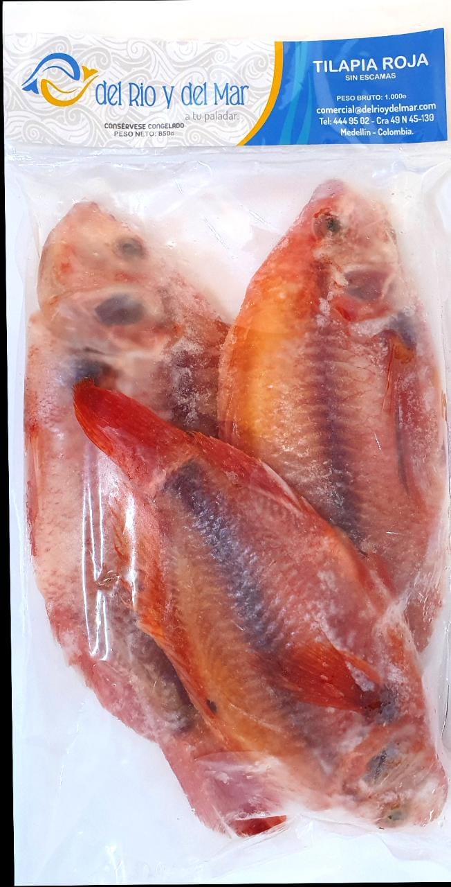 TILAPIA ENTERA DEL RIO Y DEL MAR*1000G