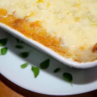 Massa italiana com molho especial e frango desfiado gratinado
