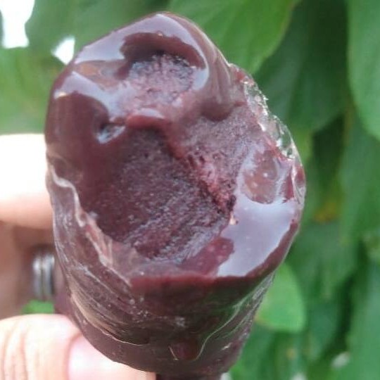 A cremosidade do açaí batido com banana deixa esse sacolé irresistível
