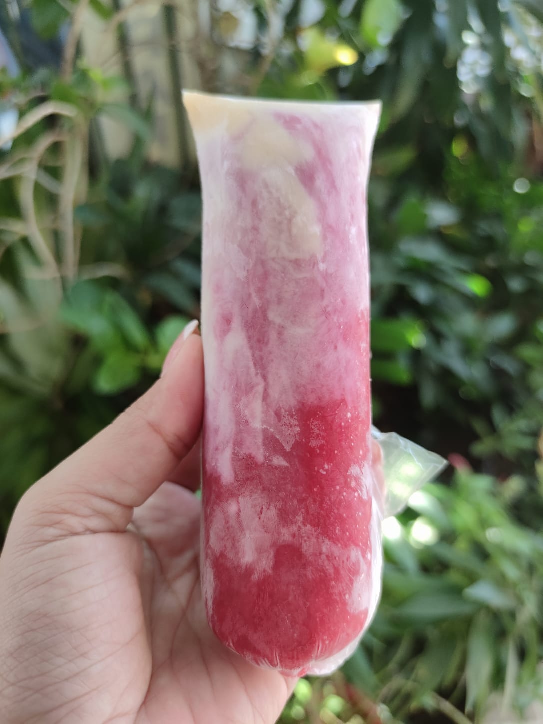 BOLI FRUTOS ROJOS