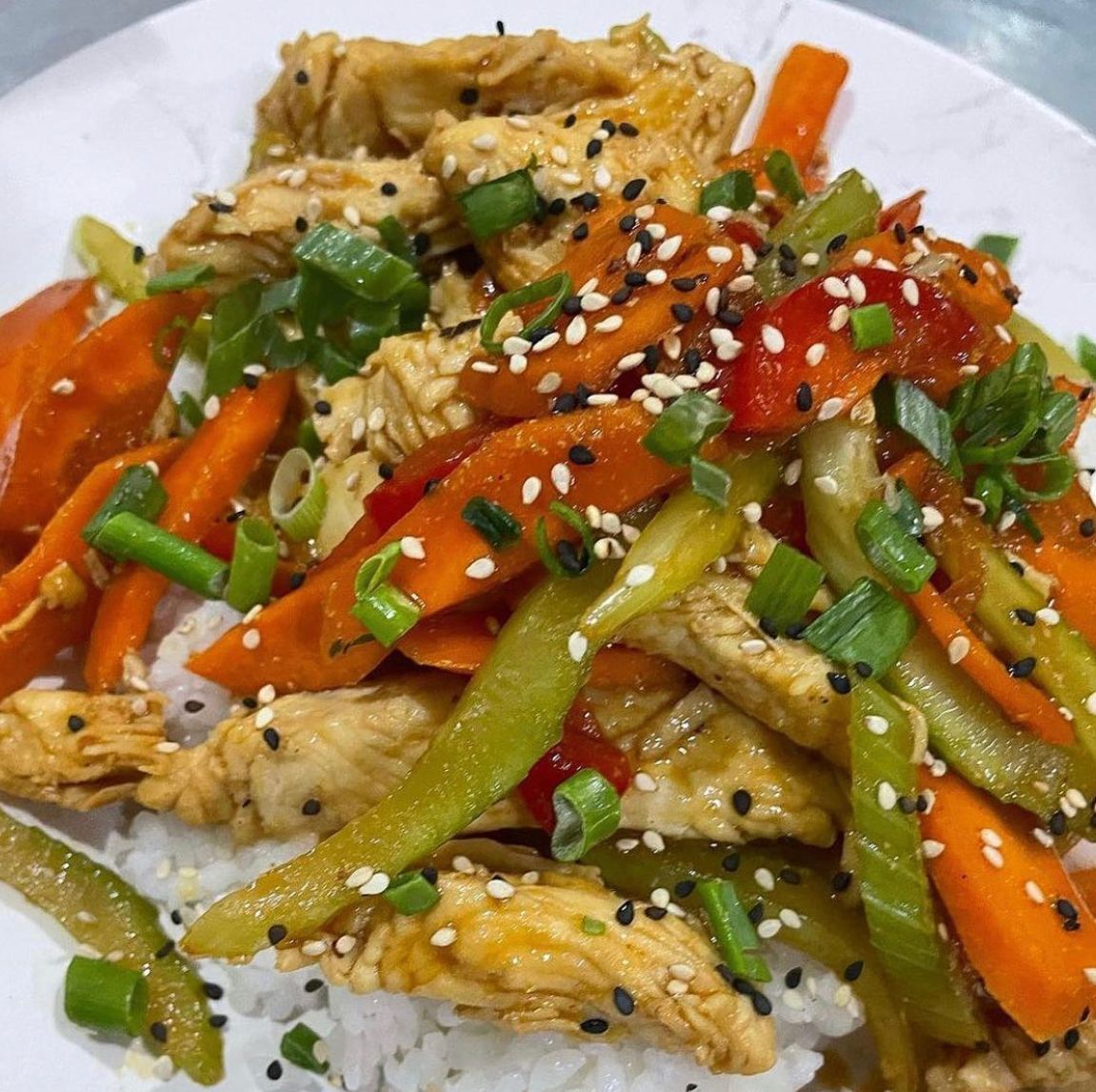 Teriyaki Platillo