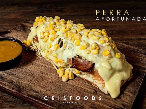 Perra Afortunada