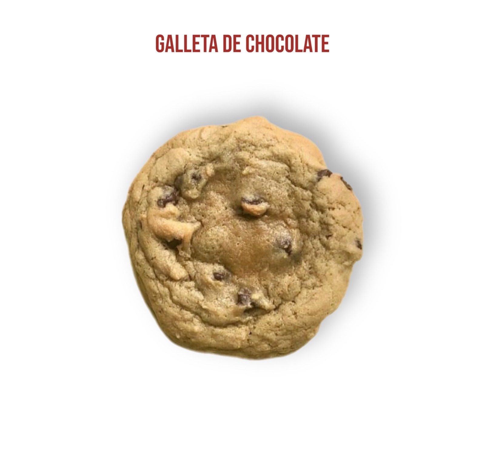 GALLETA CHOCOLATE