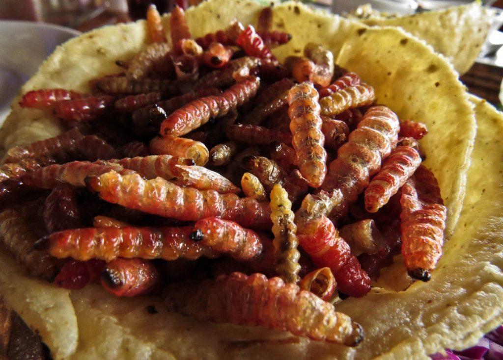 Chinicuiles