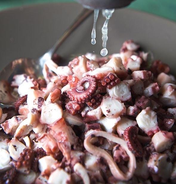 Pulpo