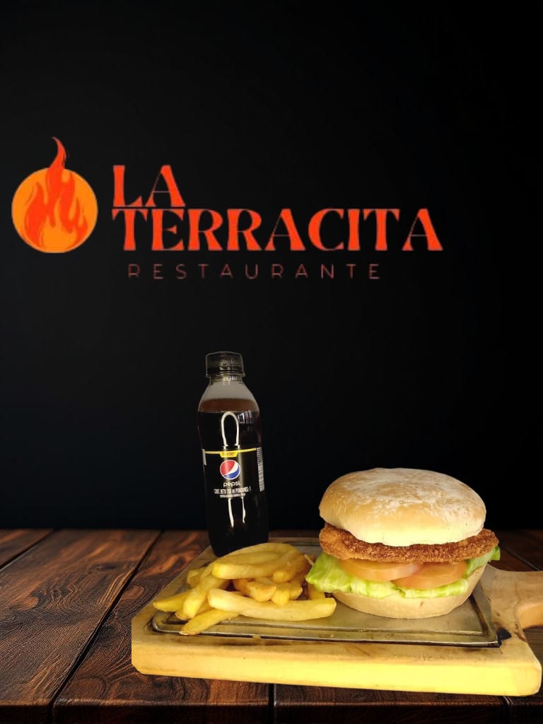 Combo Hamburguesa Pollo