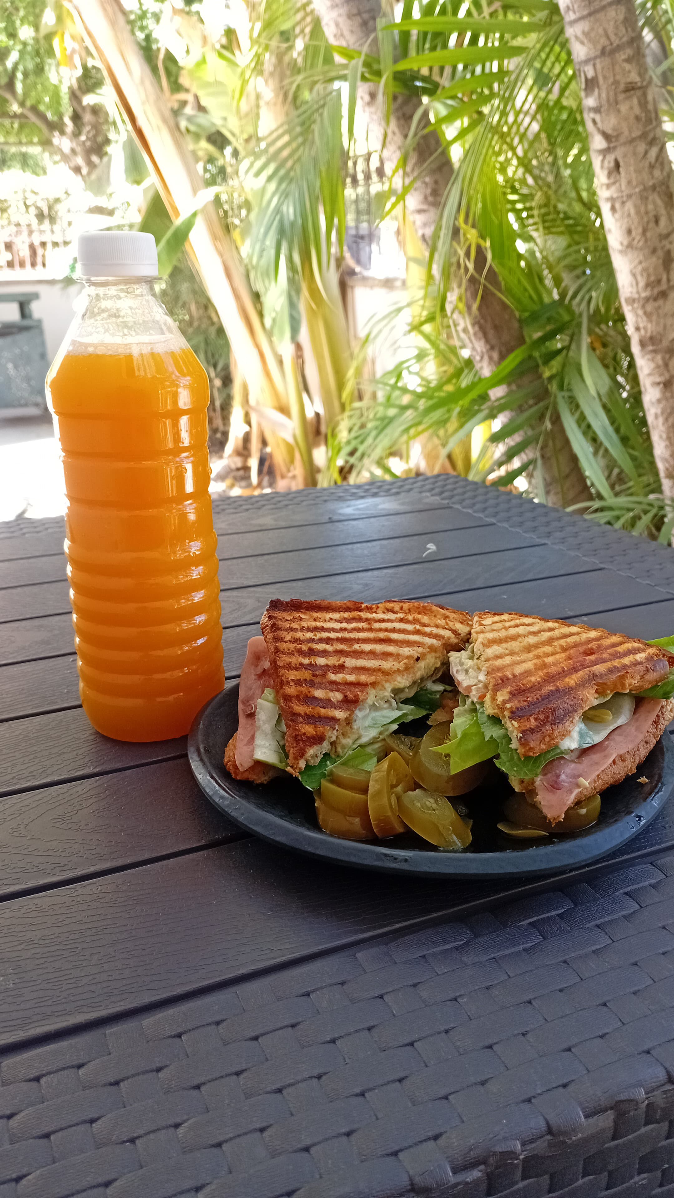 Sándwich Especial Multigrano