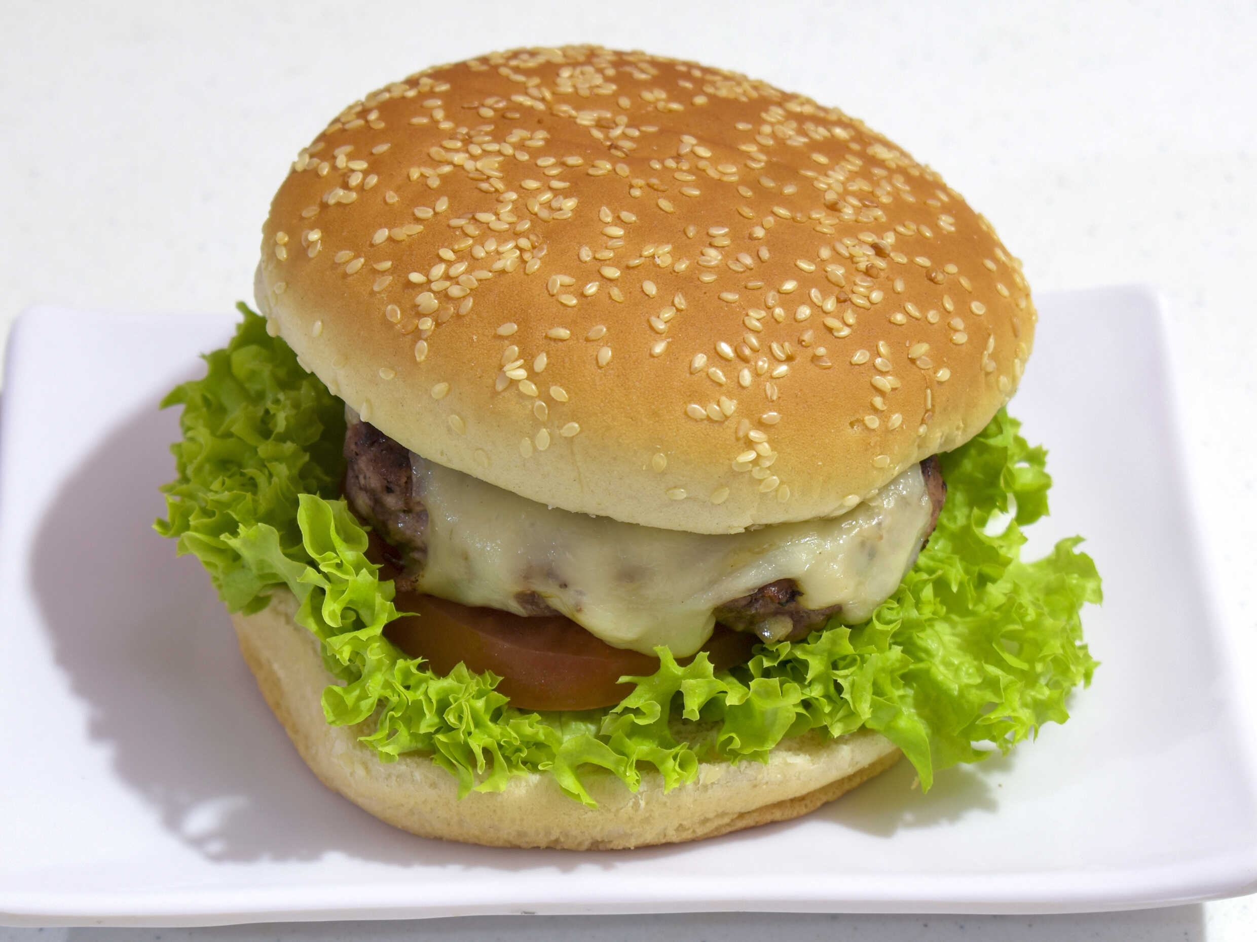 Combo-  Burguer