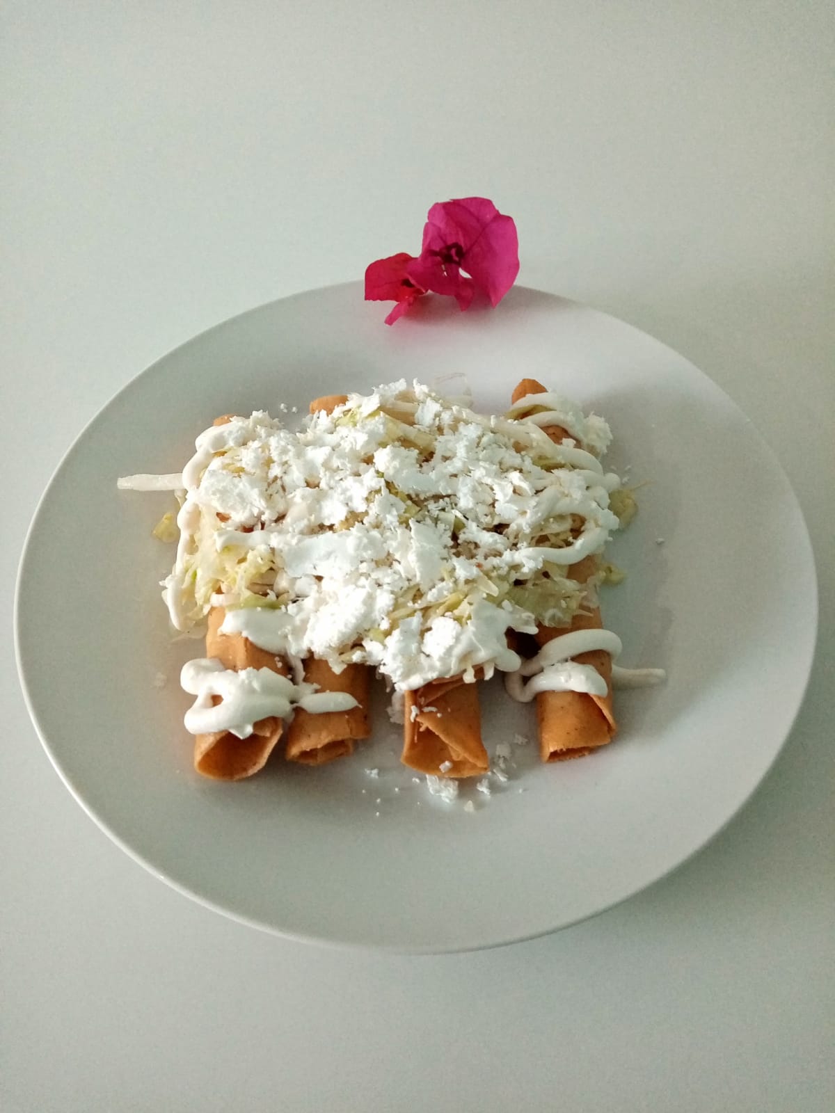 Paquete Tacos Dorados, agua y gelatina🍮