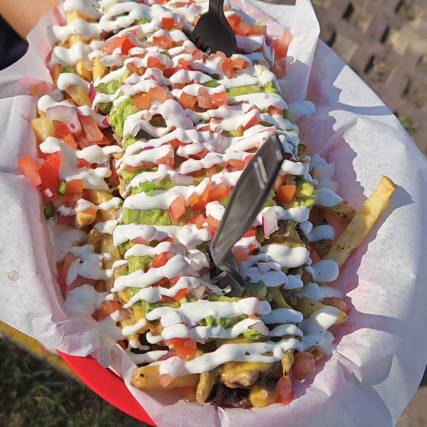 Asada Fries
