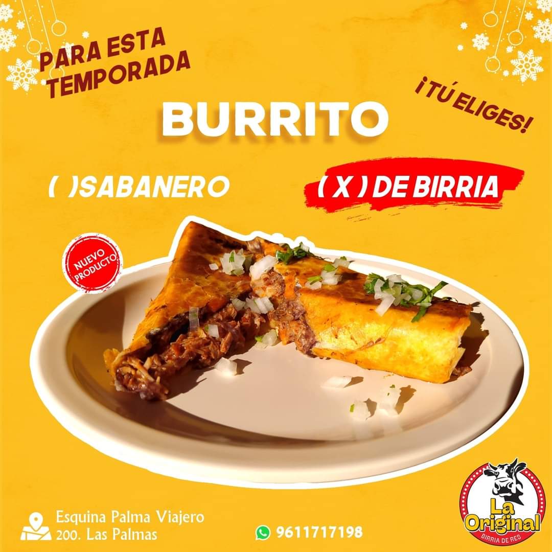 Burrito de birria