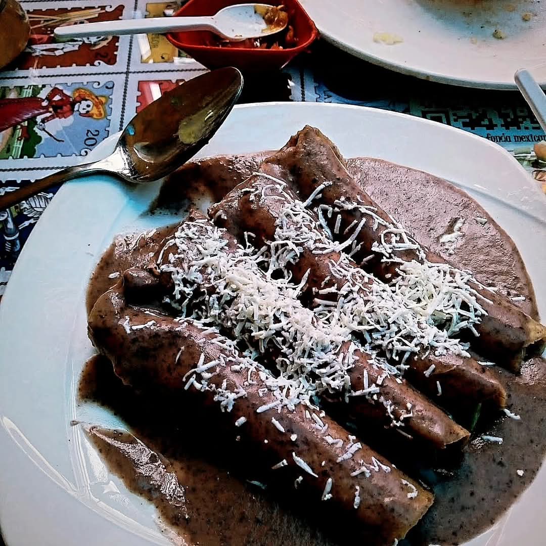 Enfrijoladas Vegetarianas 5 uds
