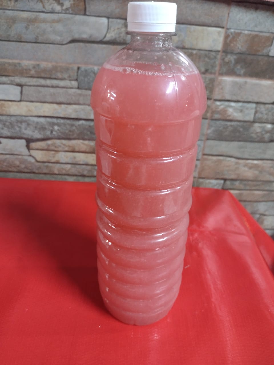 Guayaba 1 L