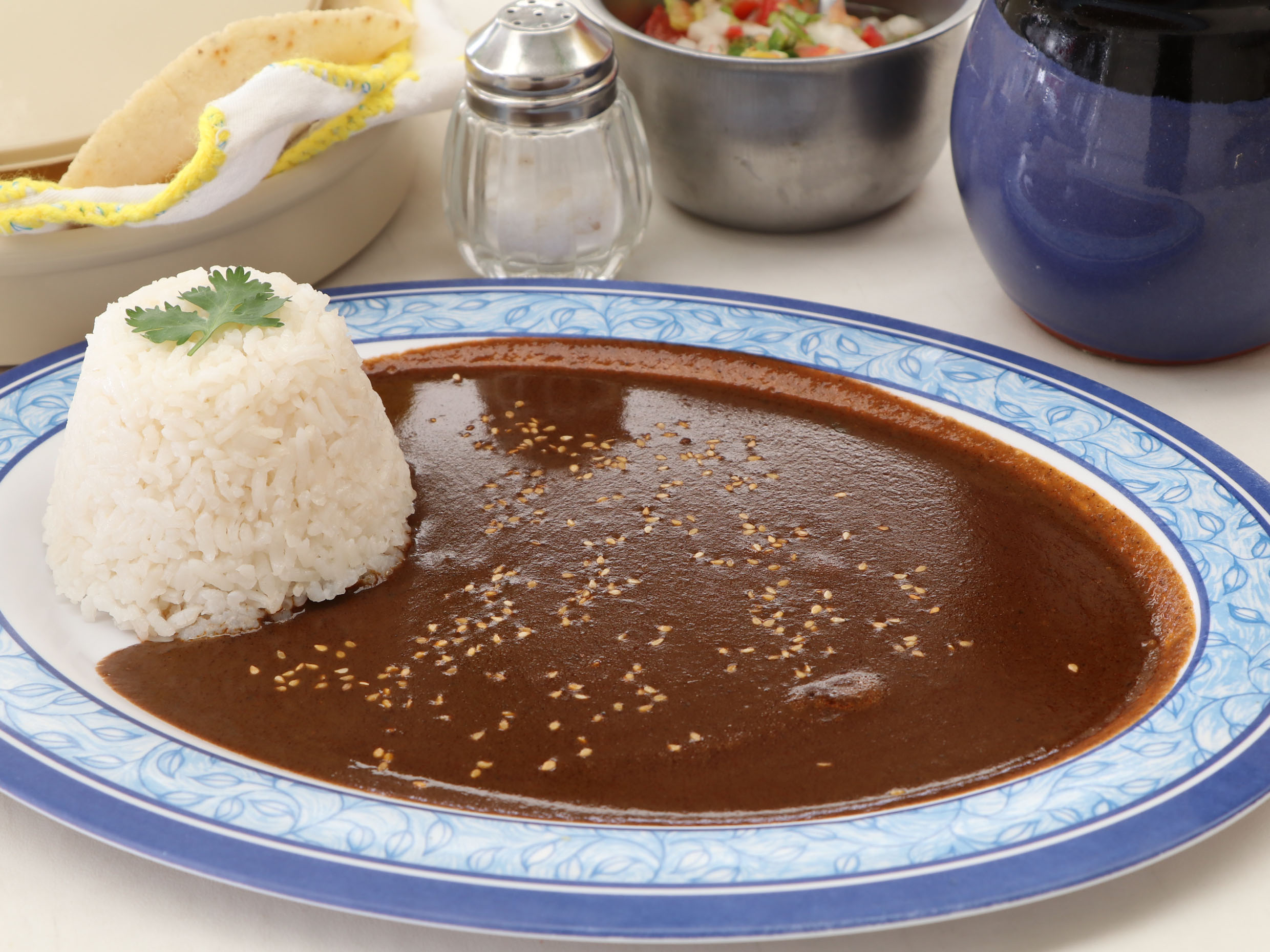 Arroz con Mole