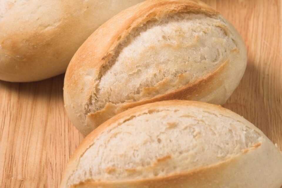 Bolillo
