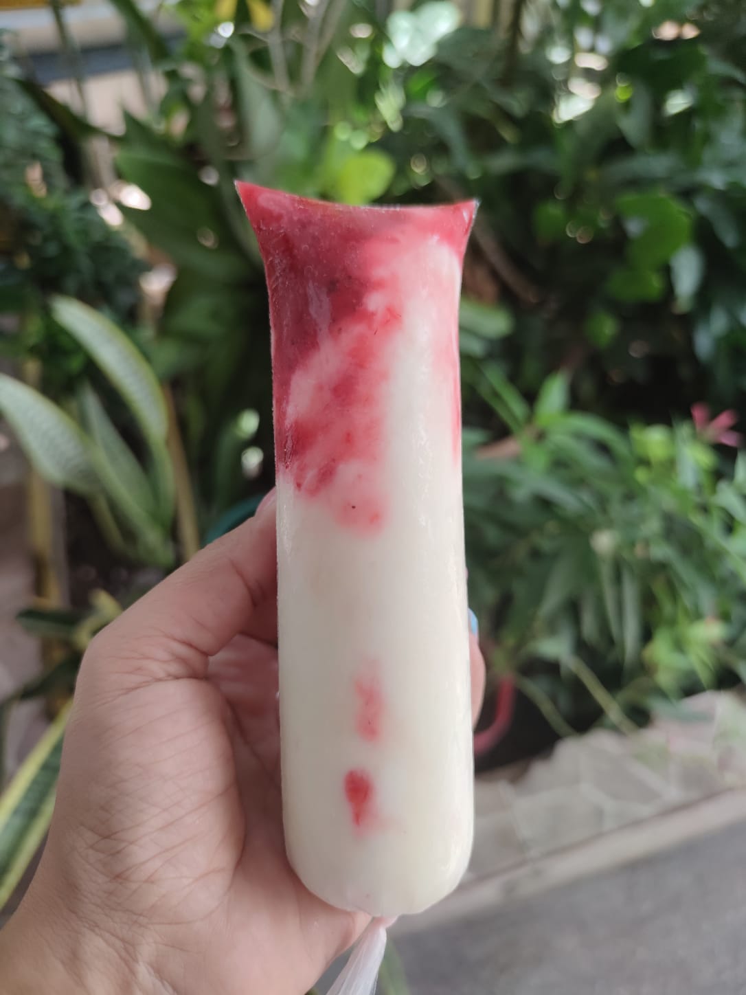 BOLI FRESAS CON CREMA