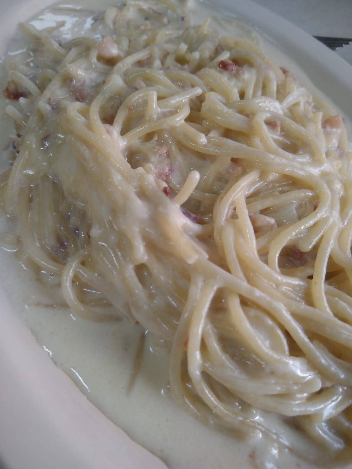 Pasta Alfredo
