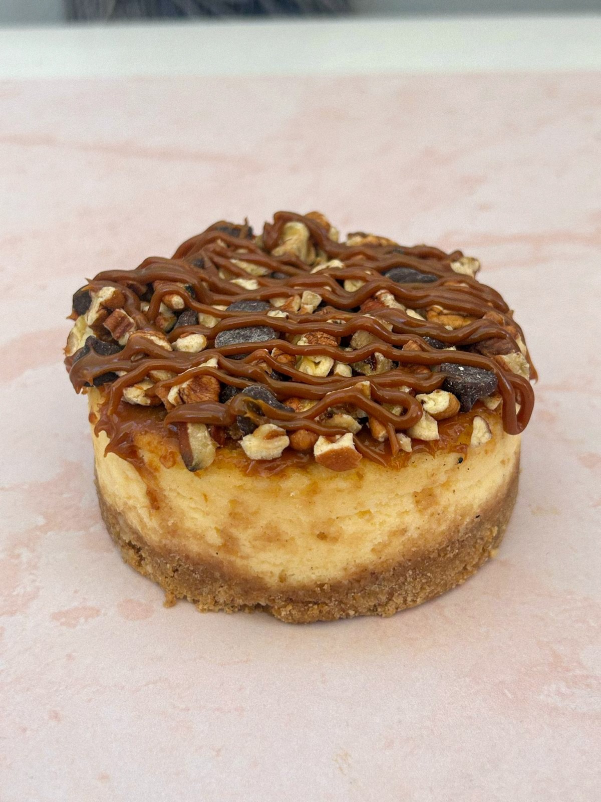 Mini Cheescake Tortuga