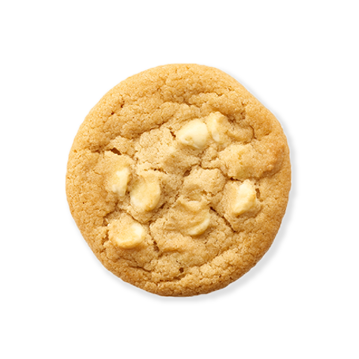 Galleta Macadamia y Chocolate Blanco