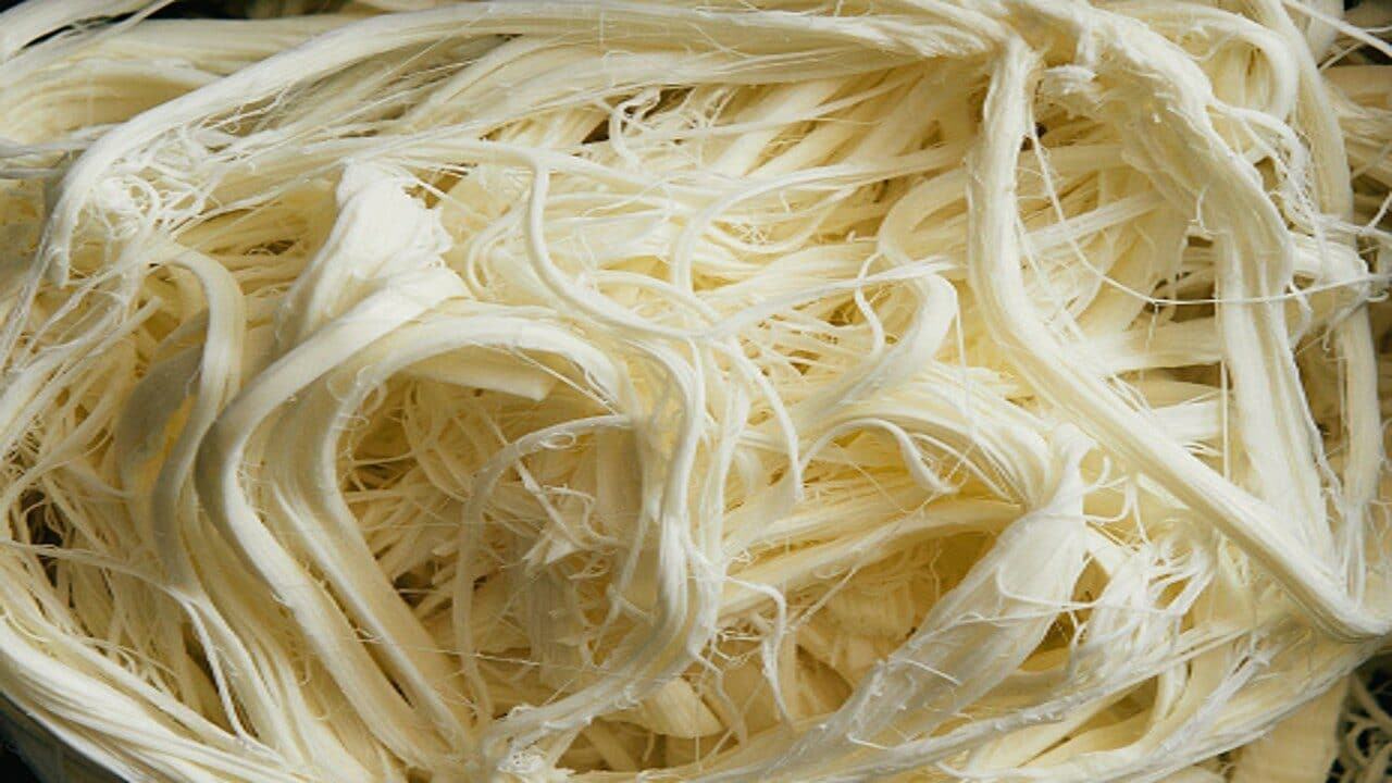 Quesillo.