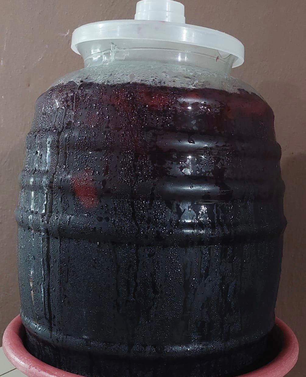 Agua de Jamaica Grande