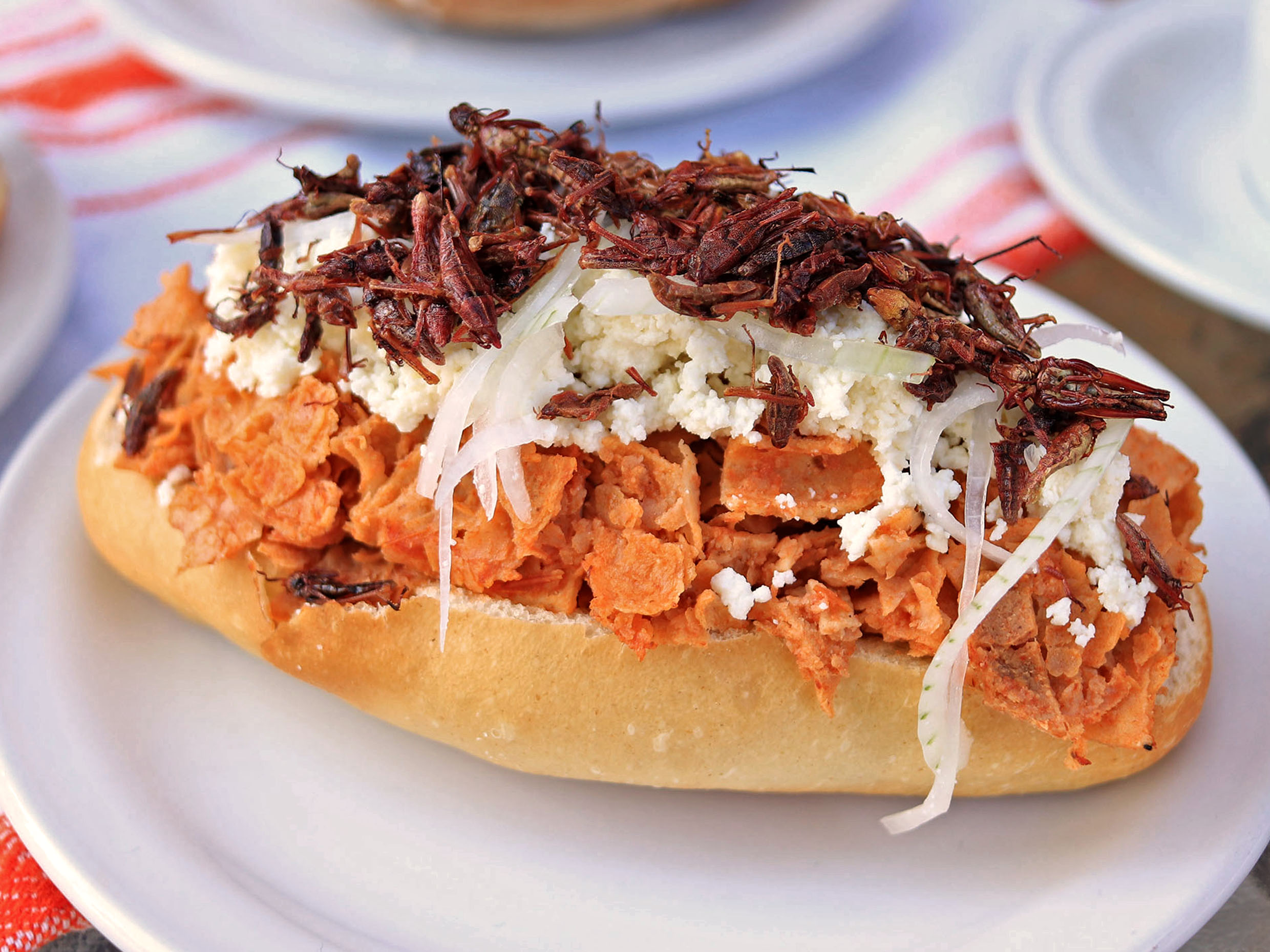 Molletes de Chilaquiles