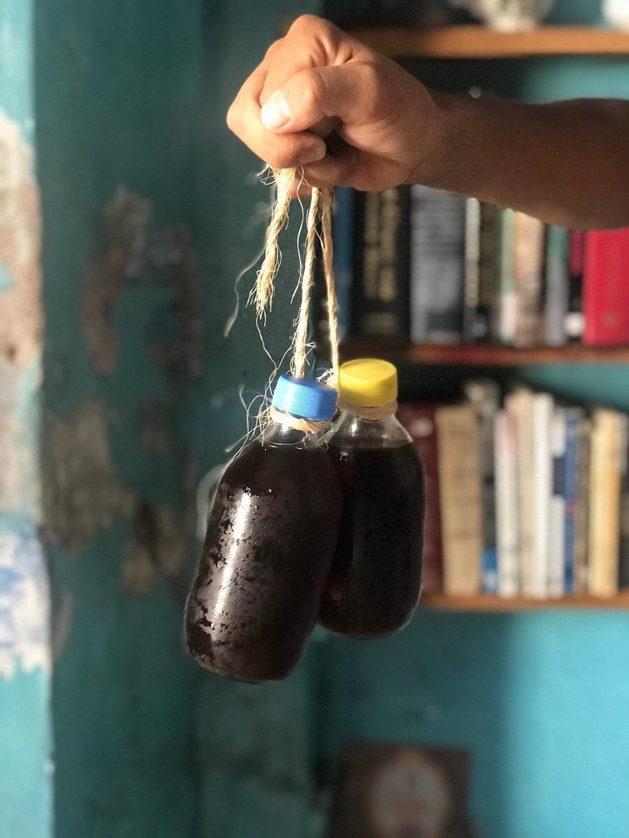 Cold Brew