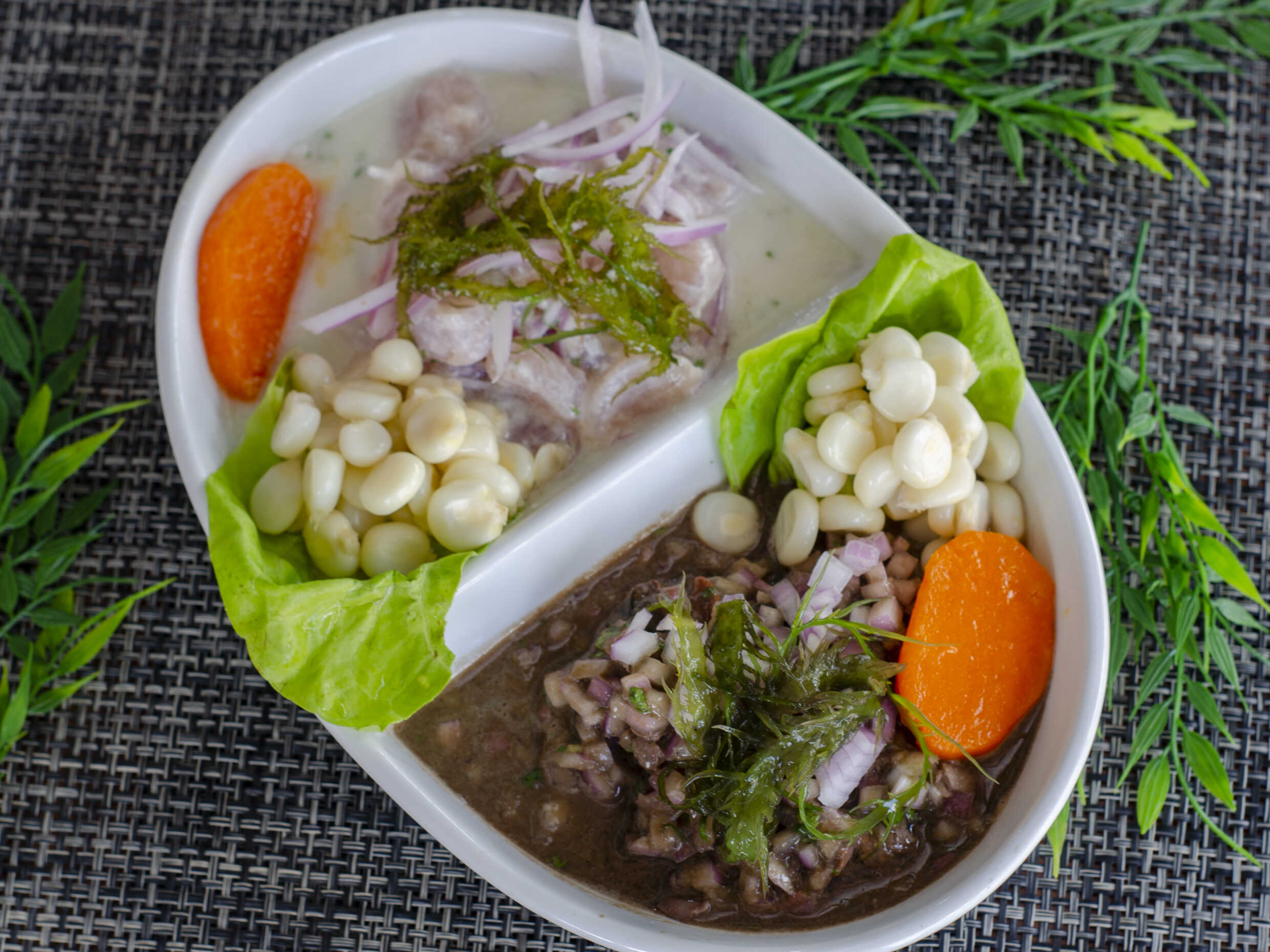 Ceviche U Alianza