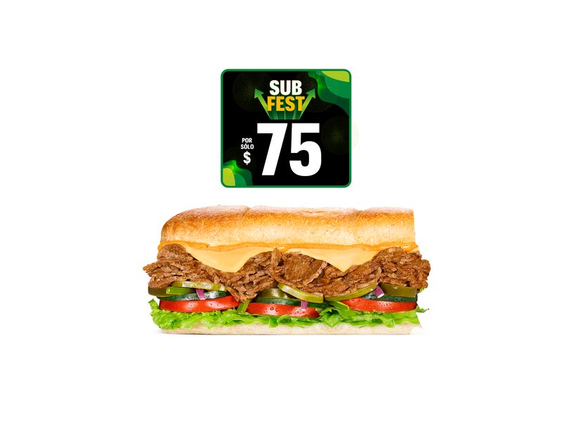 Sub Carne y Queso.