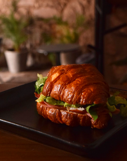 Jamón de Pavo